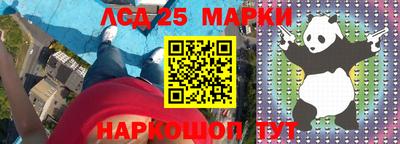 стафф Бердск
