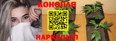 молекула духа Аша