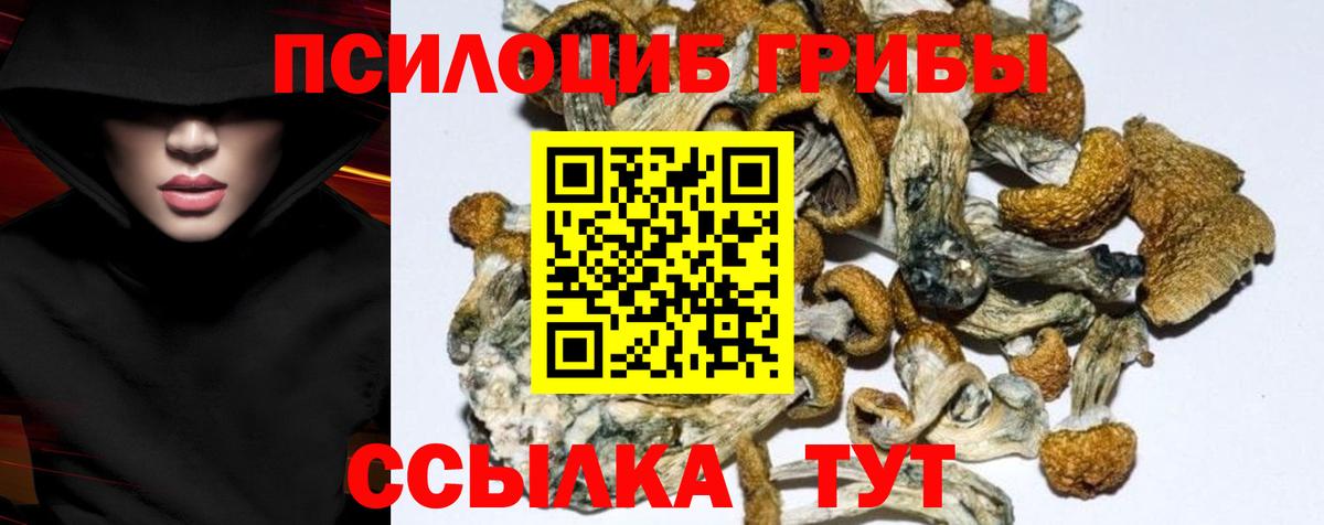 Галлюциногенные грибы мицелий Дзержинск